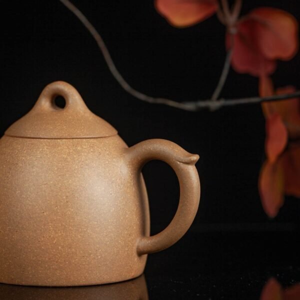 IMG_1761.jpg IMG_1761.jpg