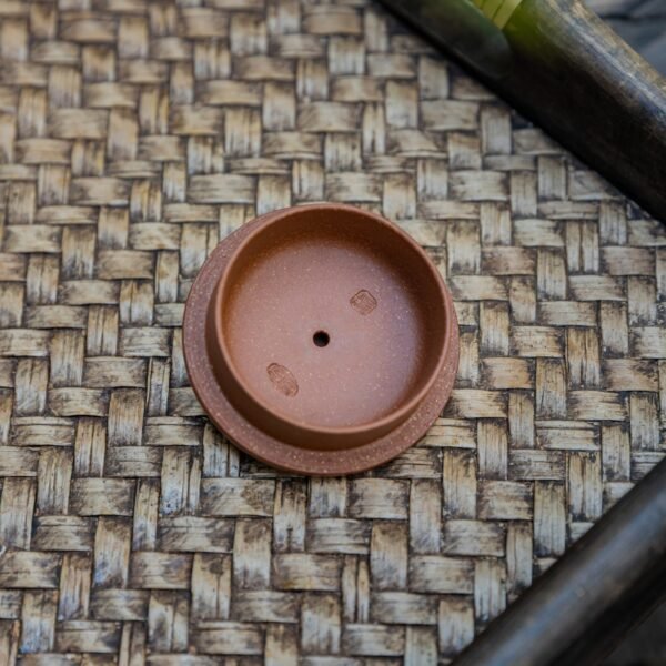 纳瓢4-scaled-1.jpg 纳瓢4-scaled-1.jpg