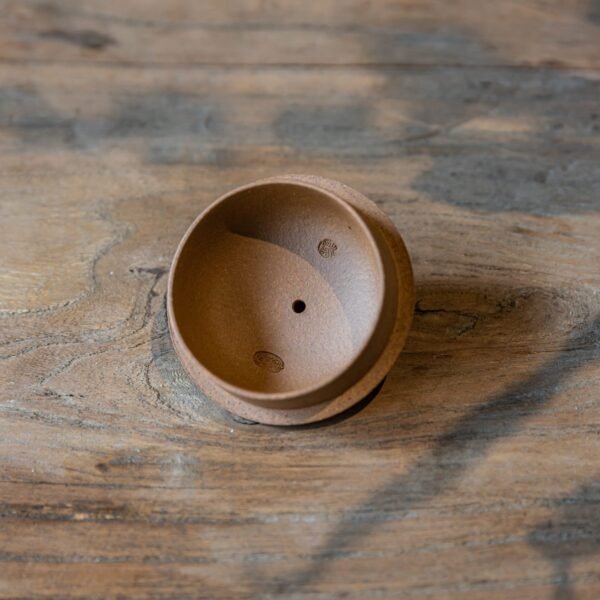 西施5-scaled-1.jpg 西施5-scaled-1.jpg