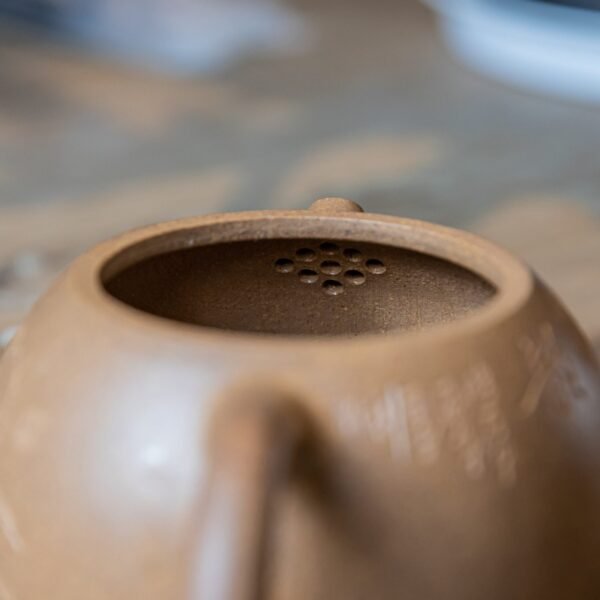 西施6-scaled-1.jpg 西施6-scaled-1.jpg